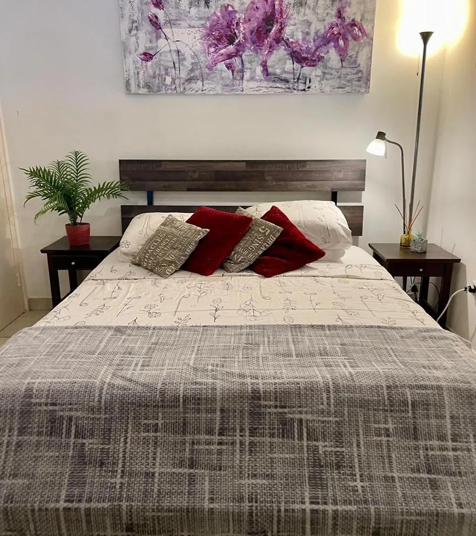 Palmhouse Aruba 1-2 Persons Apartment Pos Chiquito